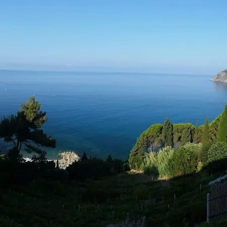 Apartamento At The Sea With Wonderful View Near 5 Terre *